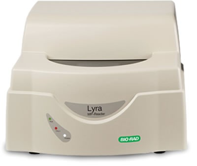 Lyra
