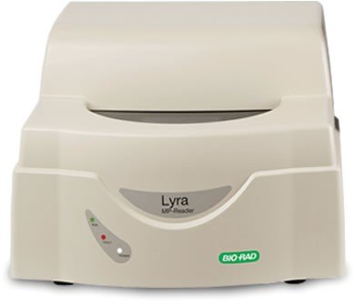 Lyra